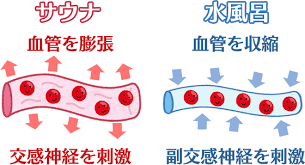 サウナ＋水風呂の効果は？危険な入り方[時間/温度]には注意！